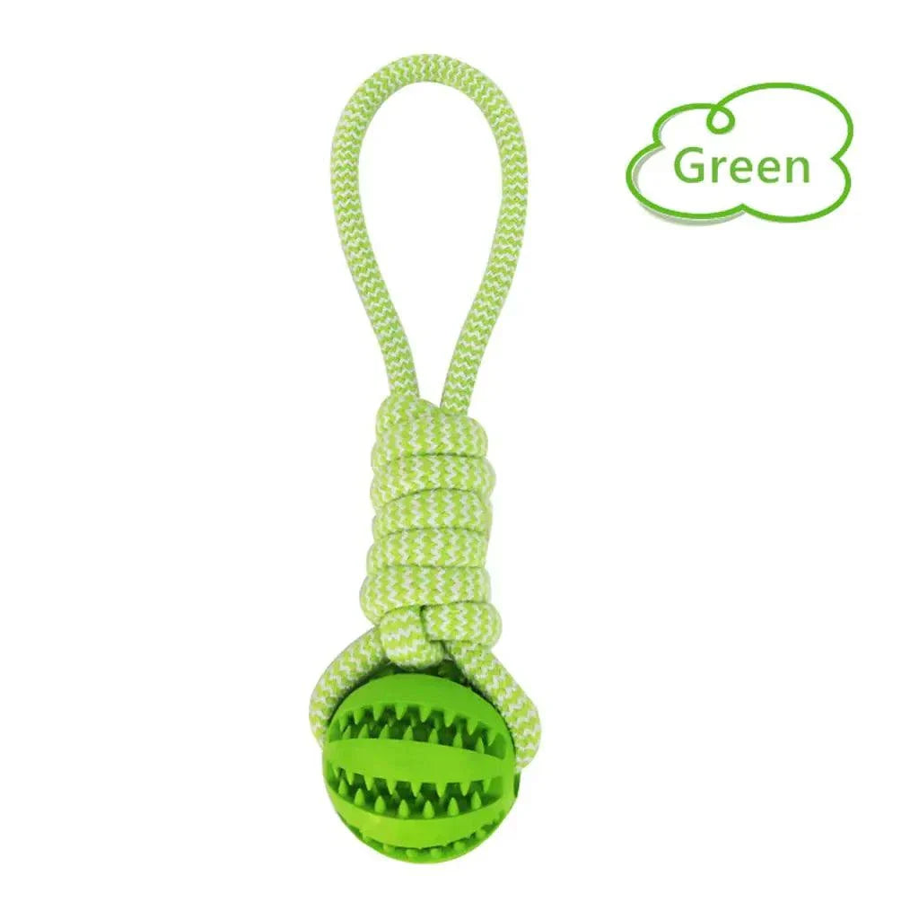 Interactive Rubber Dog Toys