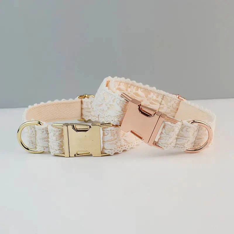 Velvet Pet Collar with Traction Rope