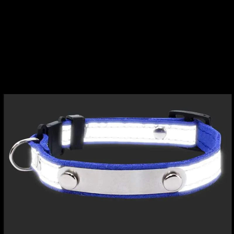 Customizable Pet Collar to Prevent Loss