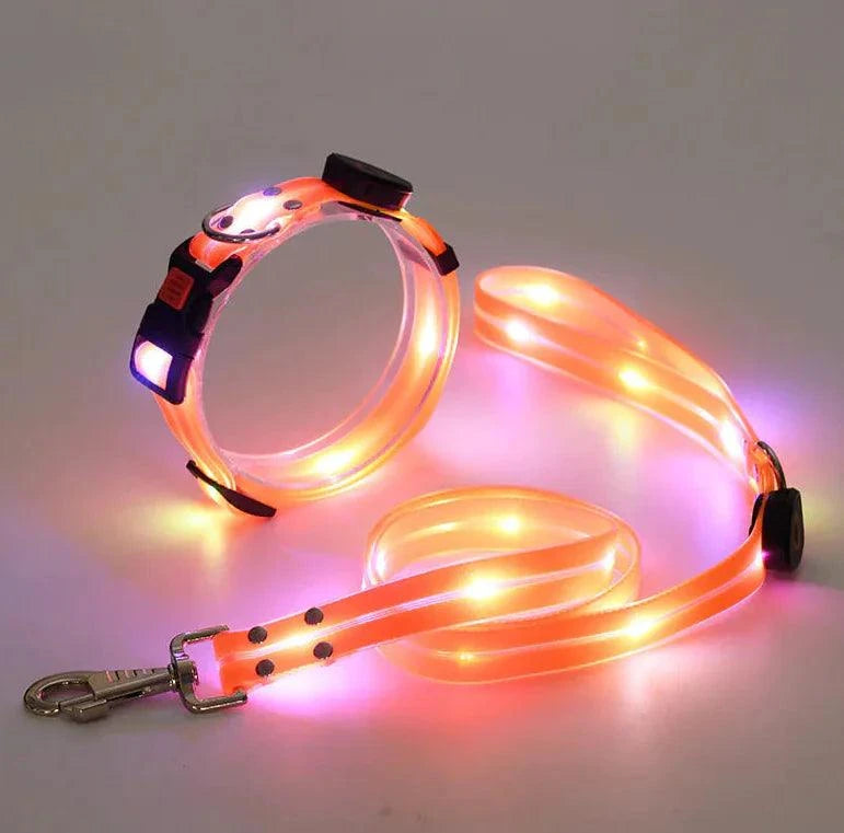 led-rechargeable-pet-collar