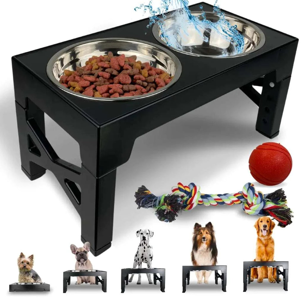 Elevated dog bowl stand featuring adjustable height with stainless steel bowls, food, and toys for various dog sizes.