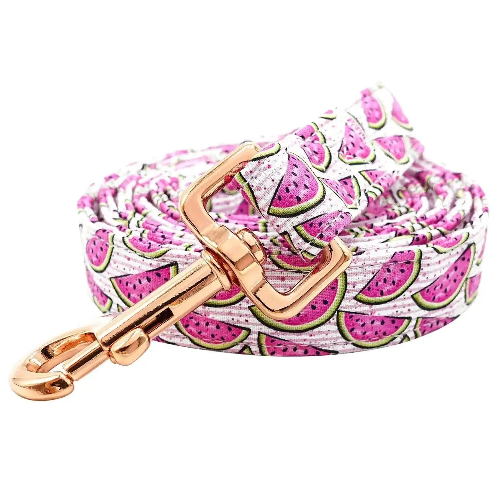 durable dog leash with soft handle featuring a playful watermelon print and rose gold buckle.
