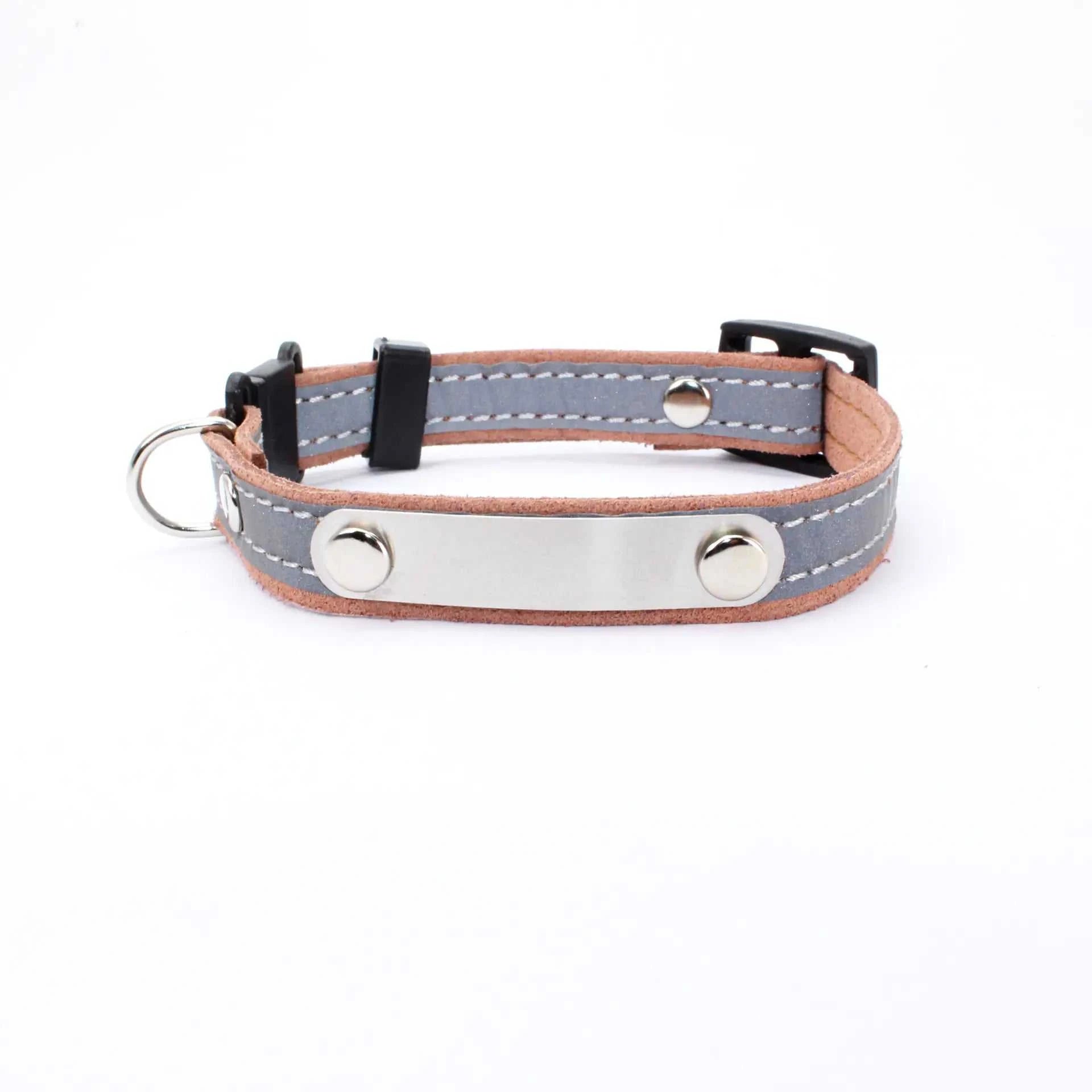 Customizable Pet Collar to Prevent Loss
