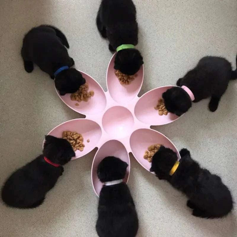 Pet aPlatter with Petal-Shaped Dog Bowls