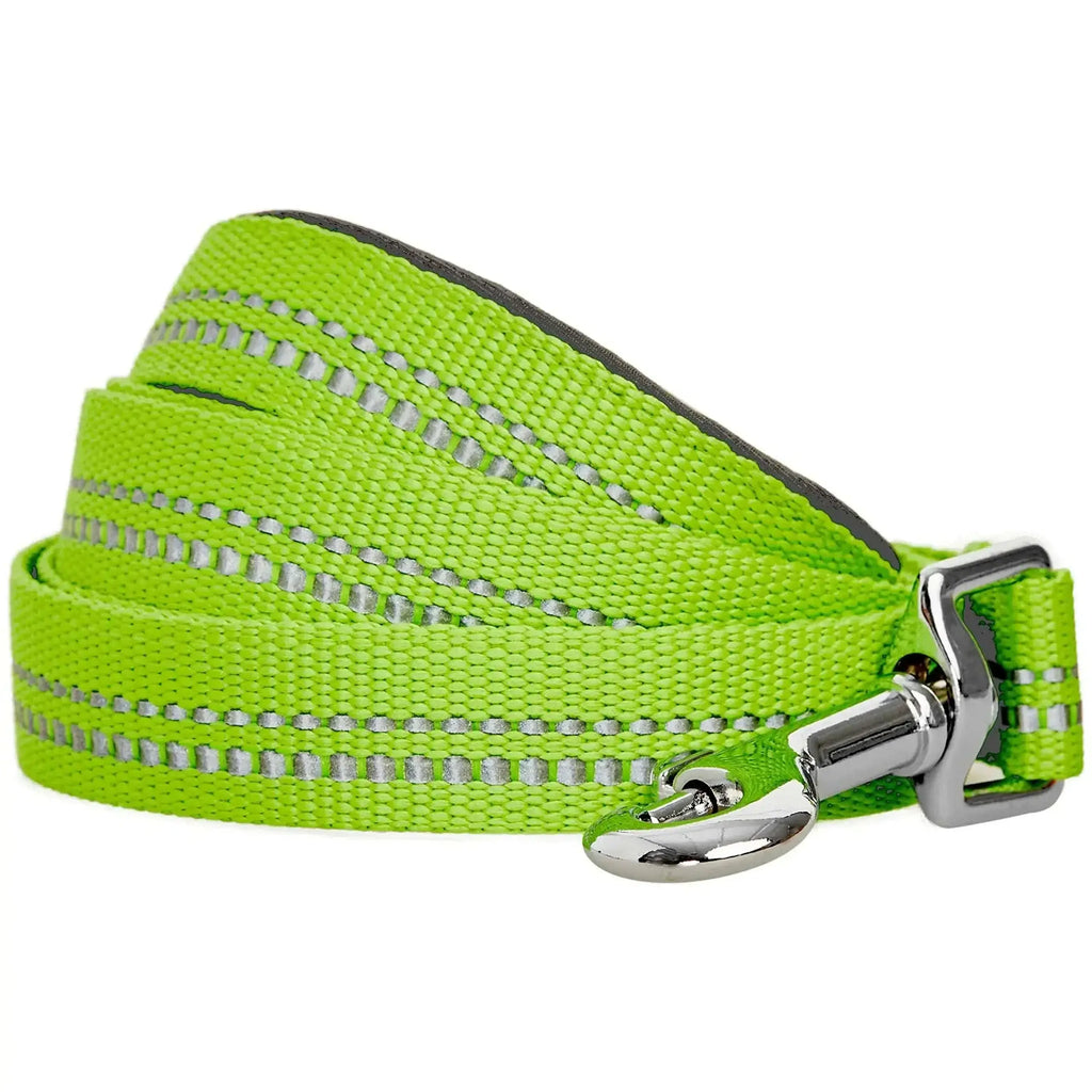 reflective dog leash for small dogs