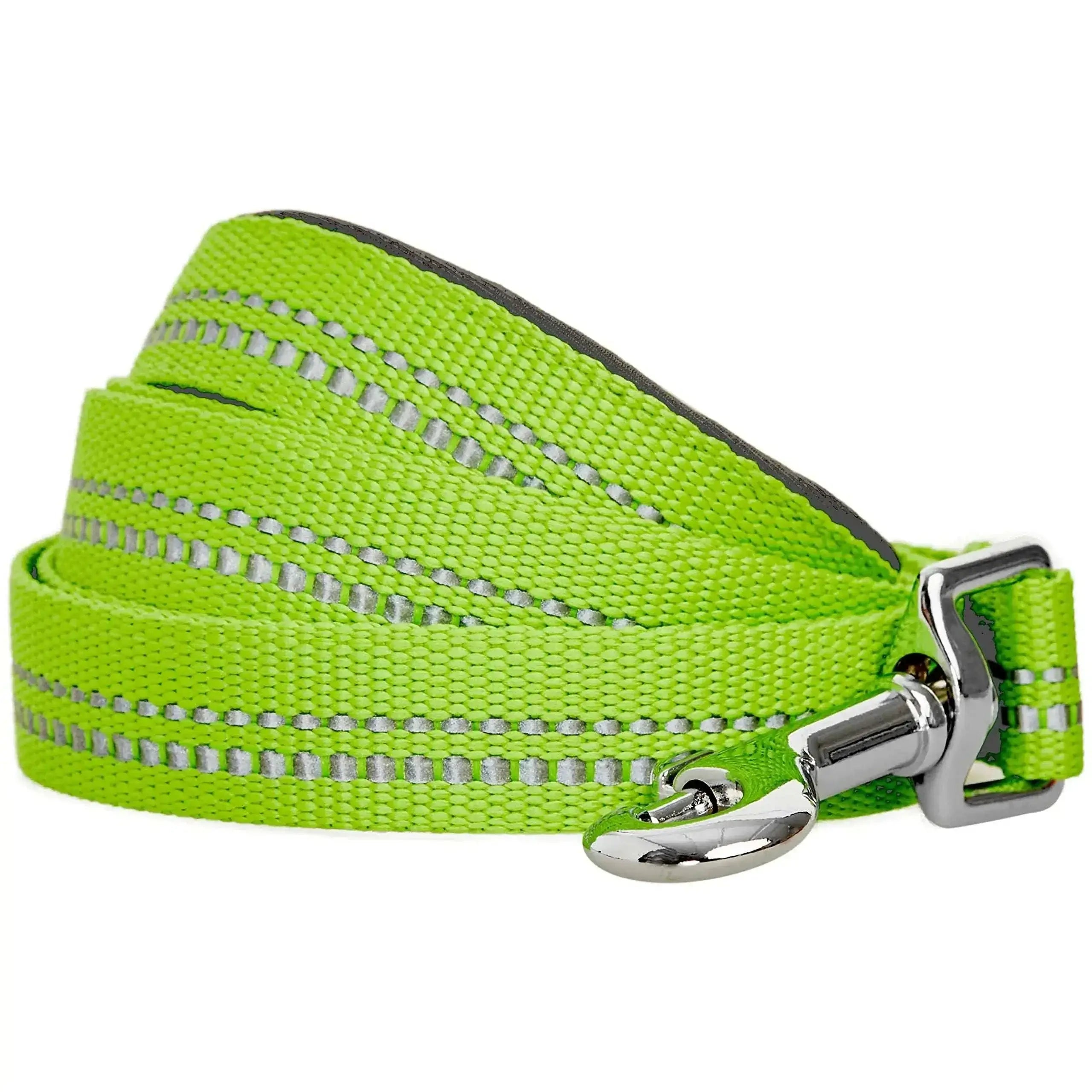 reflective dog leash for small dogs