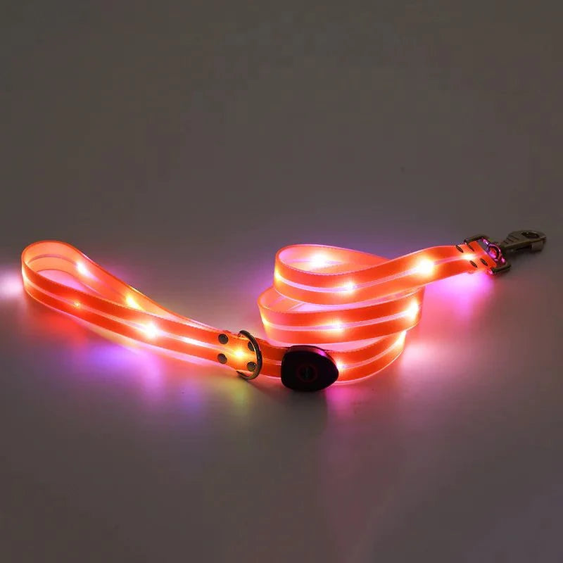 led-rechargeable-pet-collar