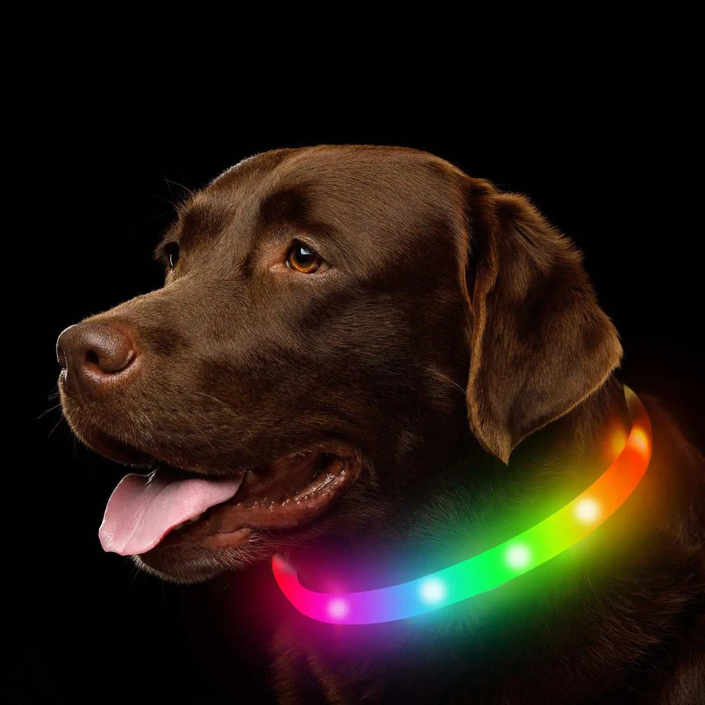 luminous pet collar