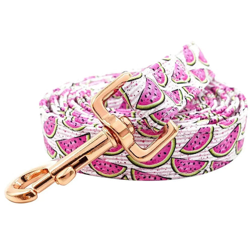 durable dog leash with soft handle featuring a colorful watermelon pattern and a rose gold clip.