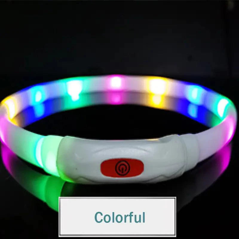 luminous pet collar